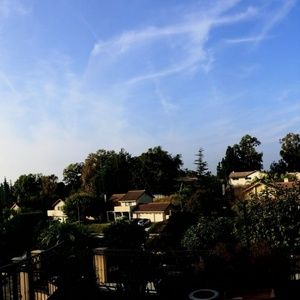 Meet your Posher, Esther